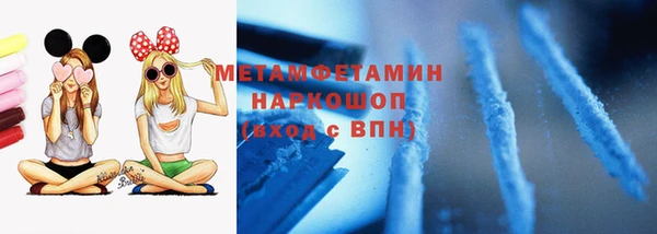 шишки Сатка