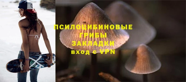 твердый Алексин