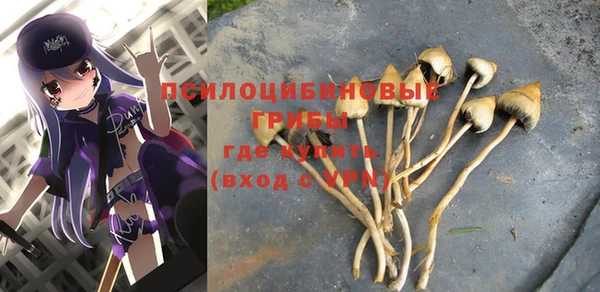 твердый Алексин