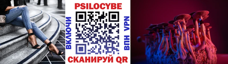 Псилоцибиновые грибы MAGIC MUSHROOMS  Данилов 