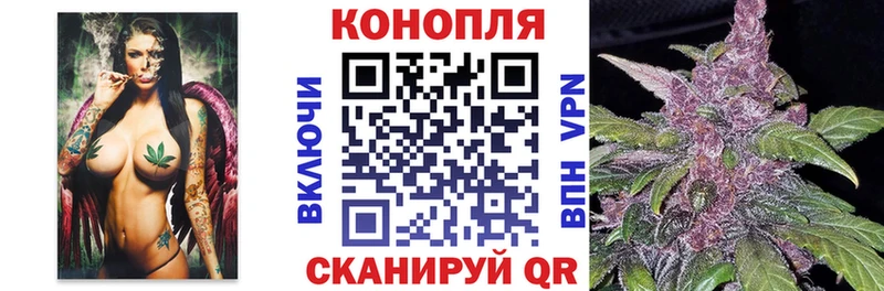 Канабис Ganja  Данилов 